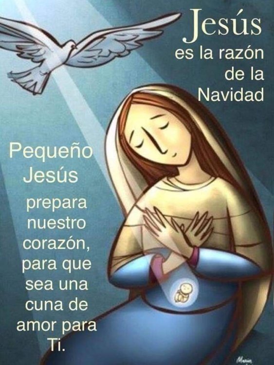FB_IMG_1671927224494.jpg